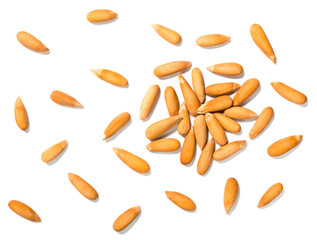 group of pine nuts on white, isolated, top view