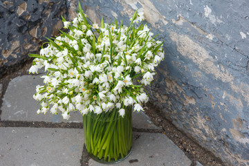 Bouquet of lilies of the valley closeup