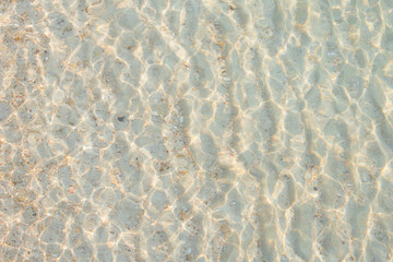 Sea bottom with boulders and sea shells, crystalline blue water