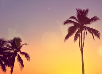 Palm trees in vintage tone Summer concept.