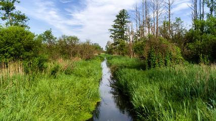 Bagno Wizna - Natura 2000 © podlaski49