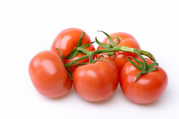 Tomatoes on Vine