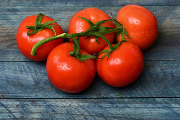 tomatoes on branch on blue vintage background