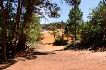 Fototapeta premium the french oak. the french colorado in the luberon