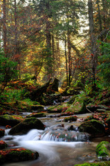 Mountain river downstream in early morning with rays of light in the background