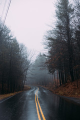 Rainy Road 4