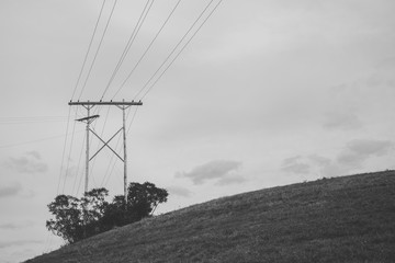 Power Lines - 146255978