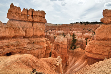 Fototapeta premium Bryce Canyon National Park