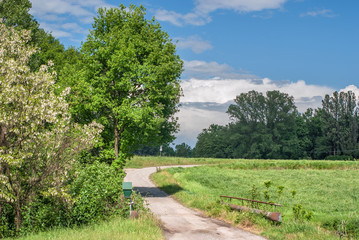 paesaggio di campagna