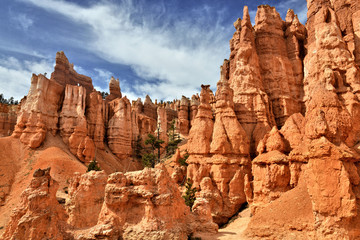Fototapeta premium Bryce Canyon National Park