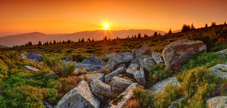 Summer landscape in the mountains. Sunrise