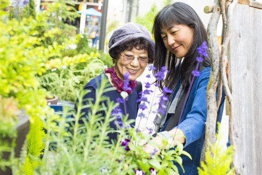 Older Japanese mother and daughter admiring garden