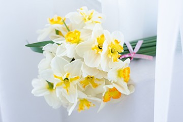 White narcissus flowers, bouquet on white background