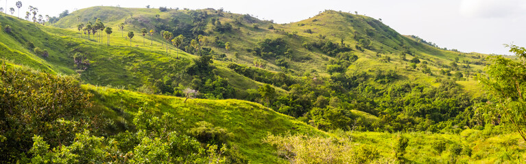 Panoramic view of  the green hills of the island Flores, Indonesia