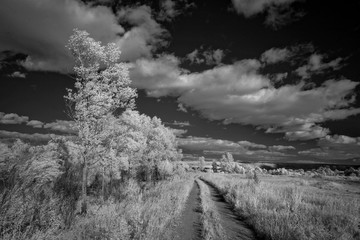 Landscape in infrared light