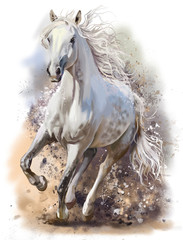 Plakaty  Biały koń biegnie akwarelą