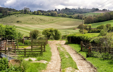Fototapeta na wymiar Spring Landscape in the Chiltern Hills in England with Farm track between fields