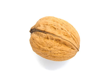 Single dry Walnut isolated on white background