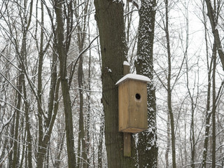 birdhouse in winter