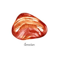 Watercolor stone Carnelian on white background. Hand drawn illustration