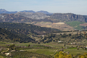 Fototapeta na wymiar Beautiful countryside and mountains around Ronda