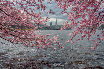Hamburg Panorama in springtime