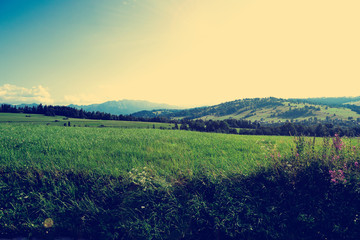 Amazing, Idyllic Landscape in The Tatras With Fresh Coloured Meadows and Flowers. High Tatras Mountains in The Background (Filtered image:cross processed vintage effect).