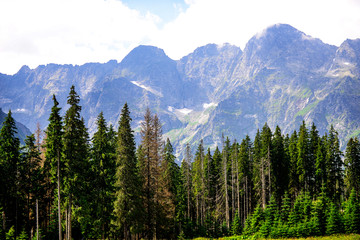 View of Mountain Peaks in Summer Time in High Tatras