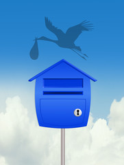 was born a baby male