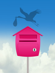 was born a baby female