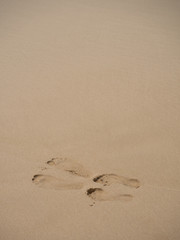 Footprints in the sand