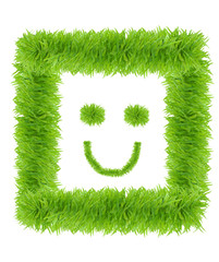 Smiling face made from green grass isolated