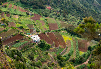 Landwirtschaftliche Terrassen im Anaga-Gebirge, Teneriffa