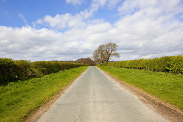 yorkshire wolds road in springtime