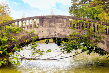 Old bridge across stream in the park