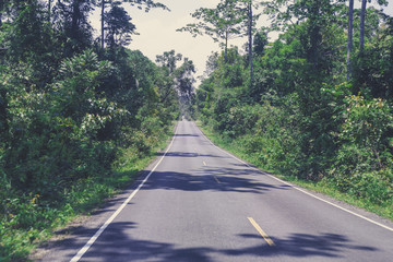 Road across Khao Yai forest in Thailand