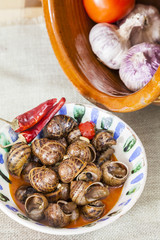 Bowl of snails  in spicy sauce,spanish food, tapas
