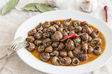 Dish of snails  in spicy sauce,spanish food, tapas