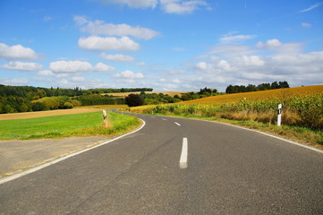 Strasse durch eine farbige Herbstlandschaft bei der Siedlung Maiermund im mittleren Hunsrück 
