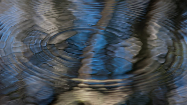 Interpolation