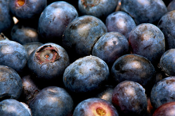 Obraz premium Close up of fresh blueberries