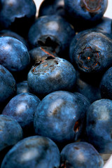Close up of fresh blueberries