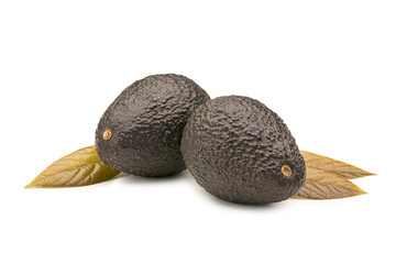 Avocado on White Background with Leaves