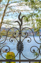 Fototapeta na wymiar Metal fence.Stylish iron fence and a door of a rich house garden.