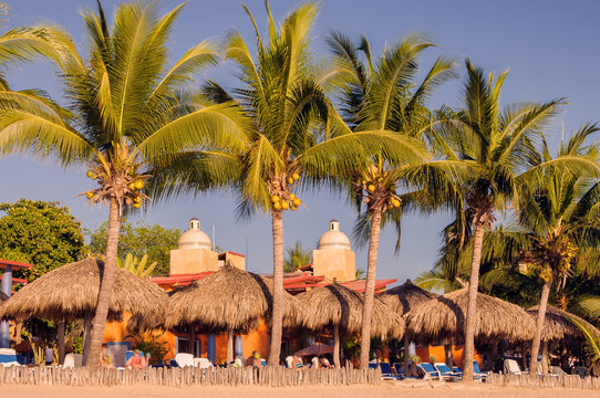 Palm trees and straw beach umbrellas in a tropical beach scene