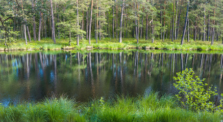 Landscape of still water of the river with colorful reflections of the trees