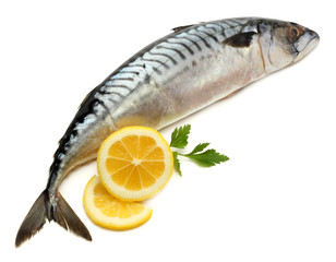 atlantic mackerel fish with lemon isolated on white background