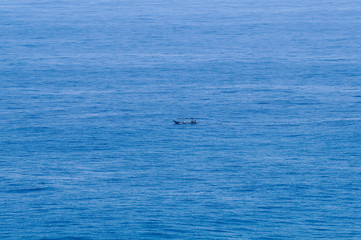 Fototapeta premium Fishing ship sailing the blue sea