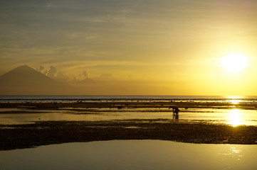 Man harvesting sea