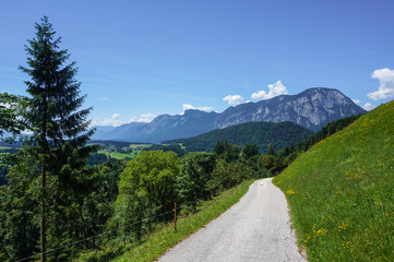 Fototapeta na wymiar Small road in the Alps